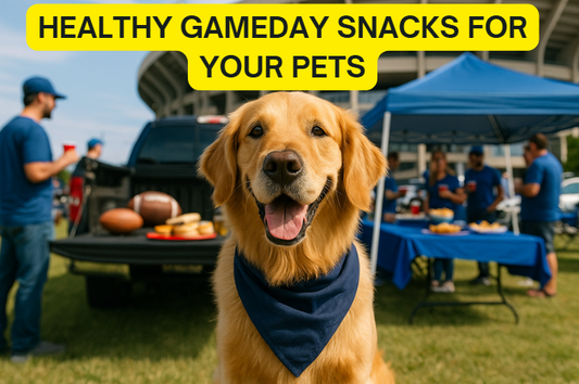 Game Day Snacks for Your Pets: Healthy Treats They Can Cheer For